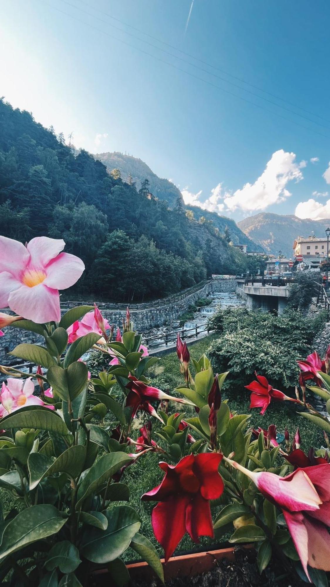 Locanda Monte Cervino Antey-Saint-André Buitenkant foto